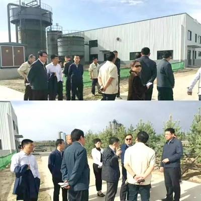 內(nèi)蒙古自治區(qū)黨委常委、呼和浩特市委書記云光中一行蒞臨萬(wàn)德斯環(huán)保項(xiàng)目現(xiàn)場(chǎng)視察指導(dǎo)