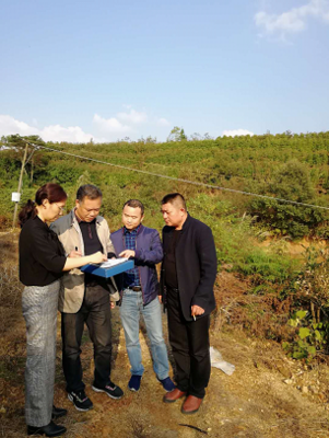 岳陽審計局開發(fā)區(qū)分局嚴把環(huán)保督查項目復核關(guān)